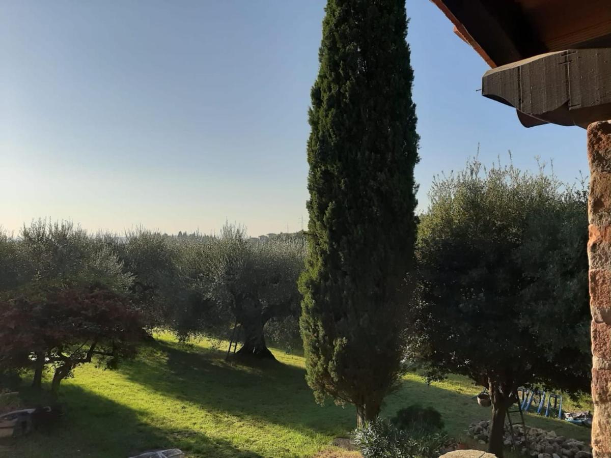 Montebello Degli Olivi Chiusi Zewnętrze zdjęcie